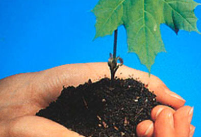 亚星游戏·yaxin222(中国官网)_亚星注册登录